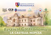 Festival Gastronomic la Castelul Nopcsa: trei zile de tradiții, gusturi autentice și spectacole în inima Țării Hațegului